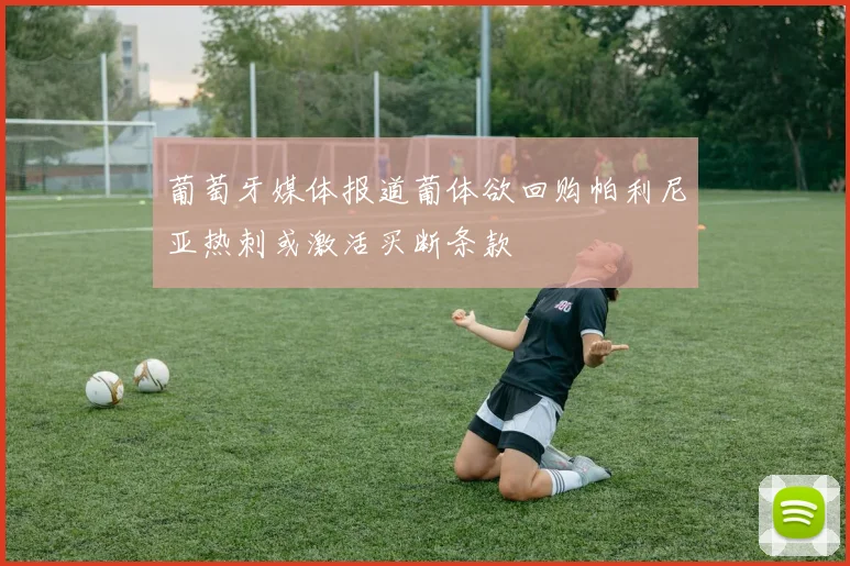 葡萄牙媒体报道葡体欲回购帕利尼亚热刺或激活买断条款