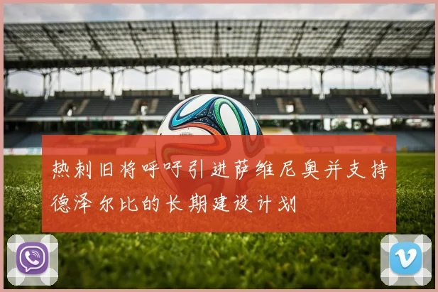 热刺旧将呼吁引进萨维尼奥并支持德泽尔比的长期建设计划